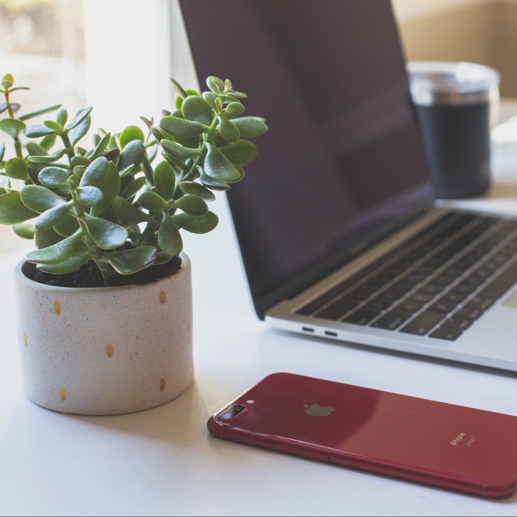 A phone, laptop and plant